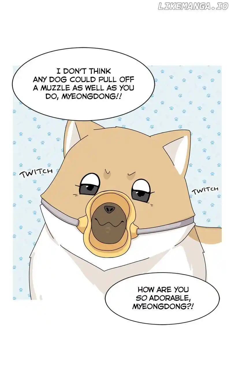 I Gave Birth to a Dog Chapter 151