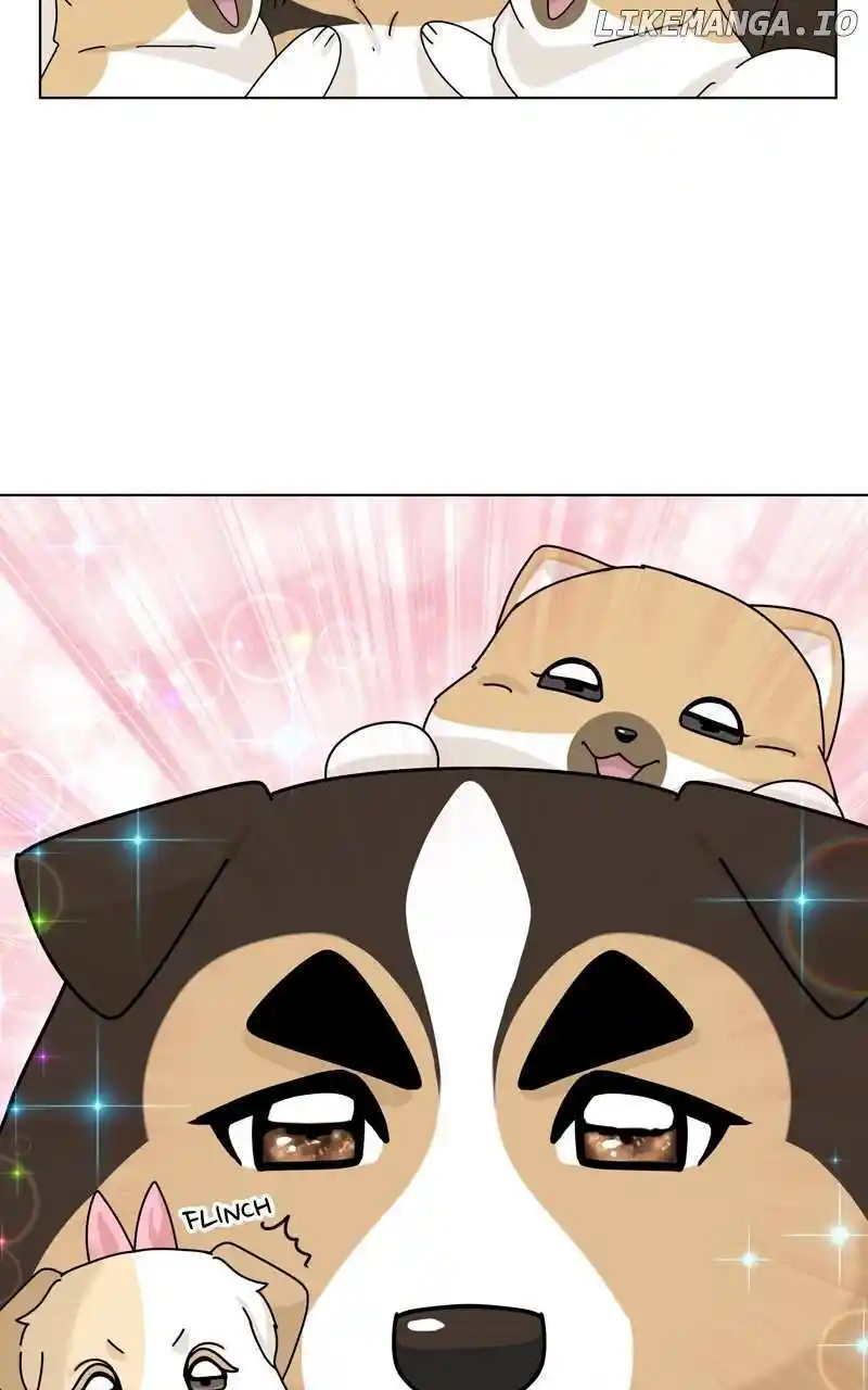 I Gave Birth to a Dog Chapter 151