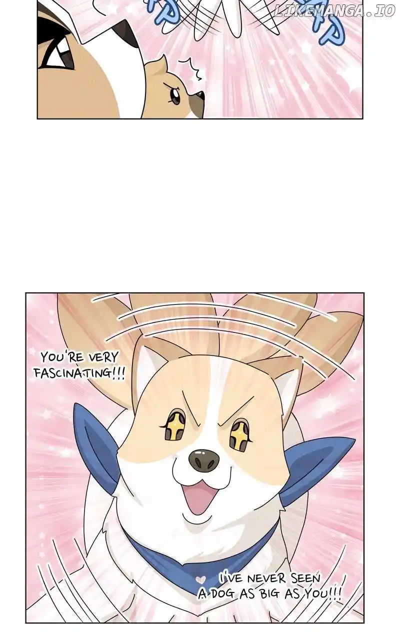 I Gave Birth to a Dog Chapter 152