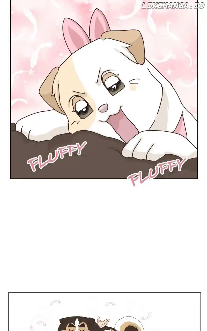 I Gave Birth to a Dog Chapter 152