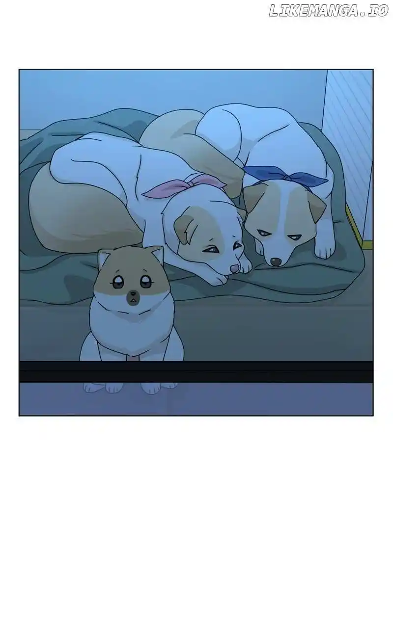 I Gave Birth to a Dog Chapter 153
