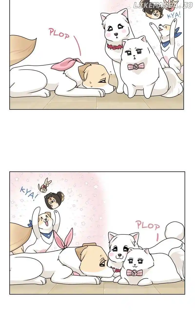 I Gave Birth to a Dog Chapter 153