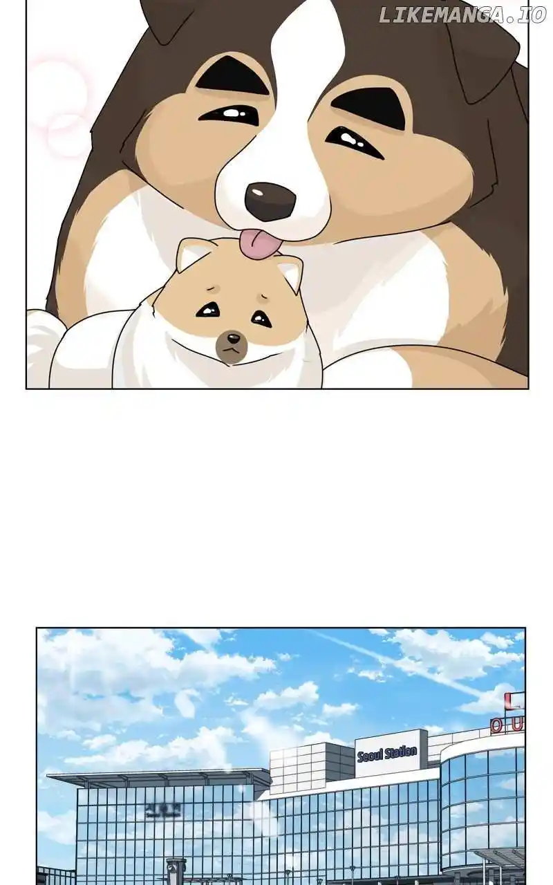 I Gave Birth to a Dog Chapter 153
