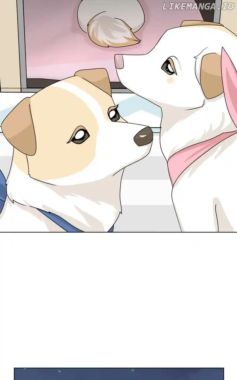 I Gave Birth to a Dog Chapter 154