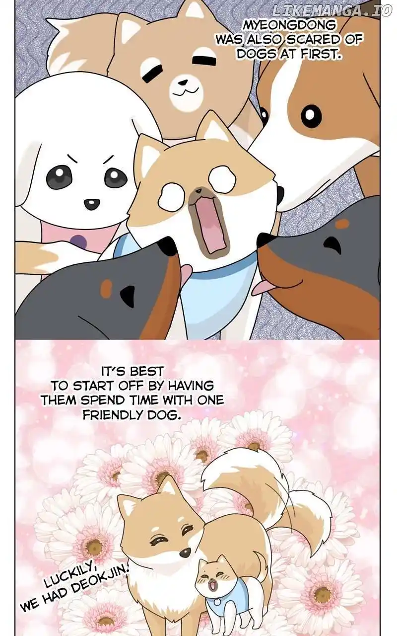 I Gave Birth to a Dog Chapter 154