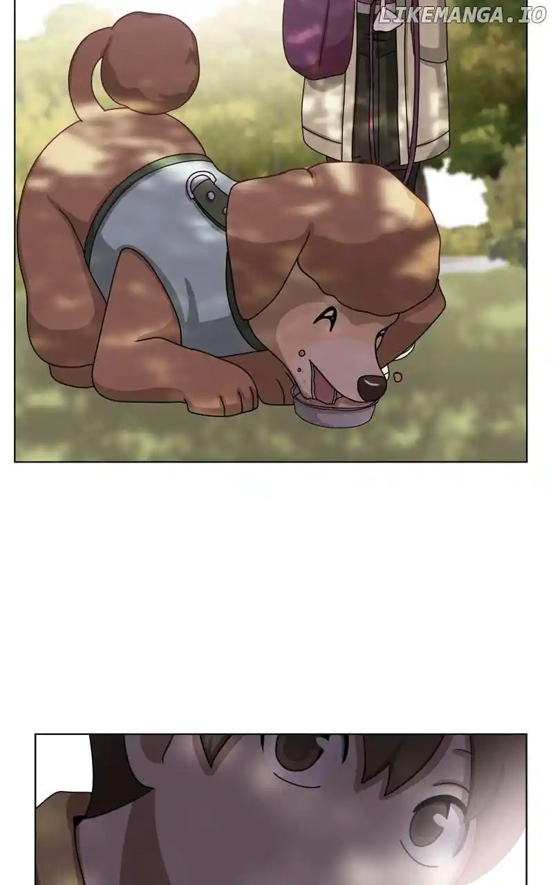 I Gave Birth to a Dog Chapter 154