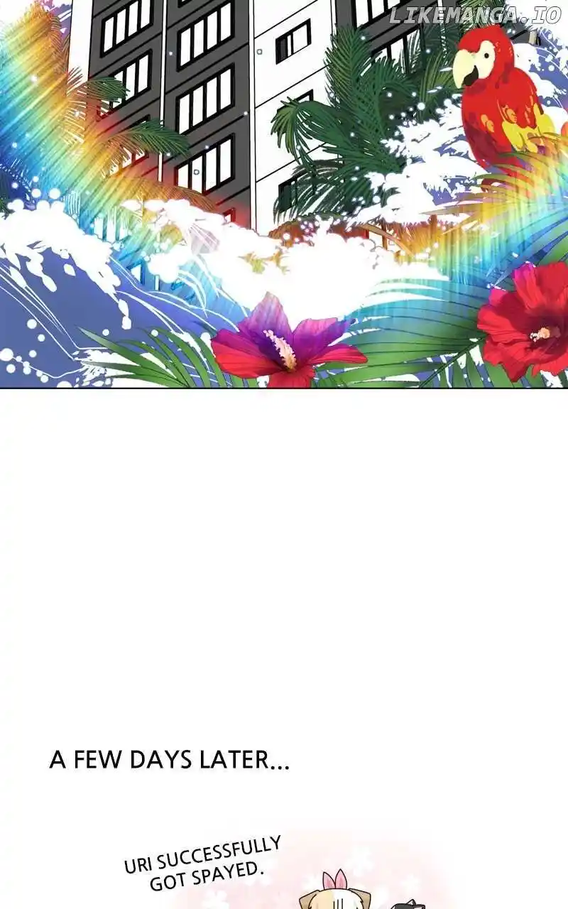 I Gave Birth to a Dog Chapter 156