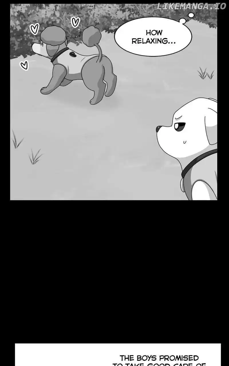 I Gave Birth to a Dog Chapter 157