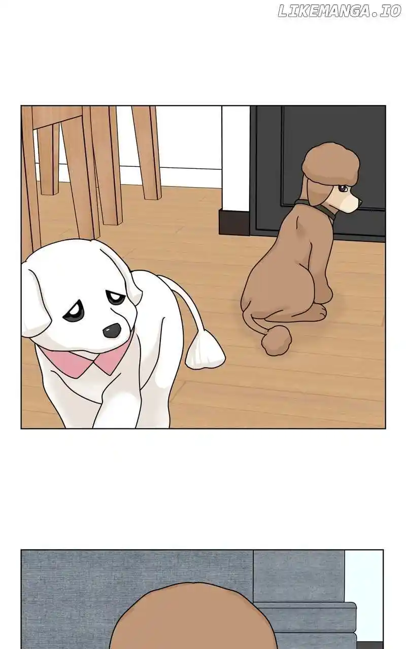I Gave Birth to a Dog Chapter 158