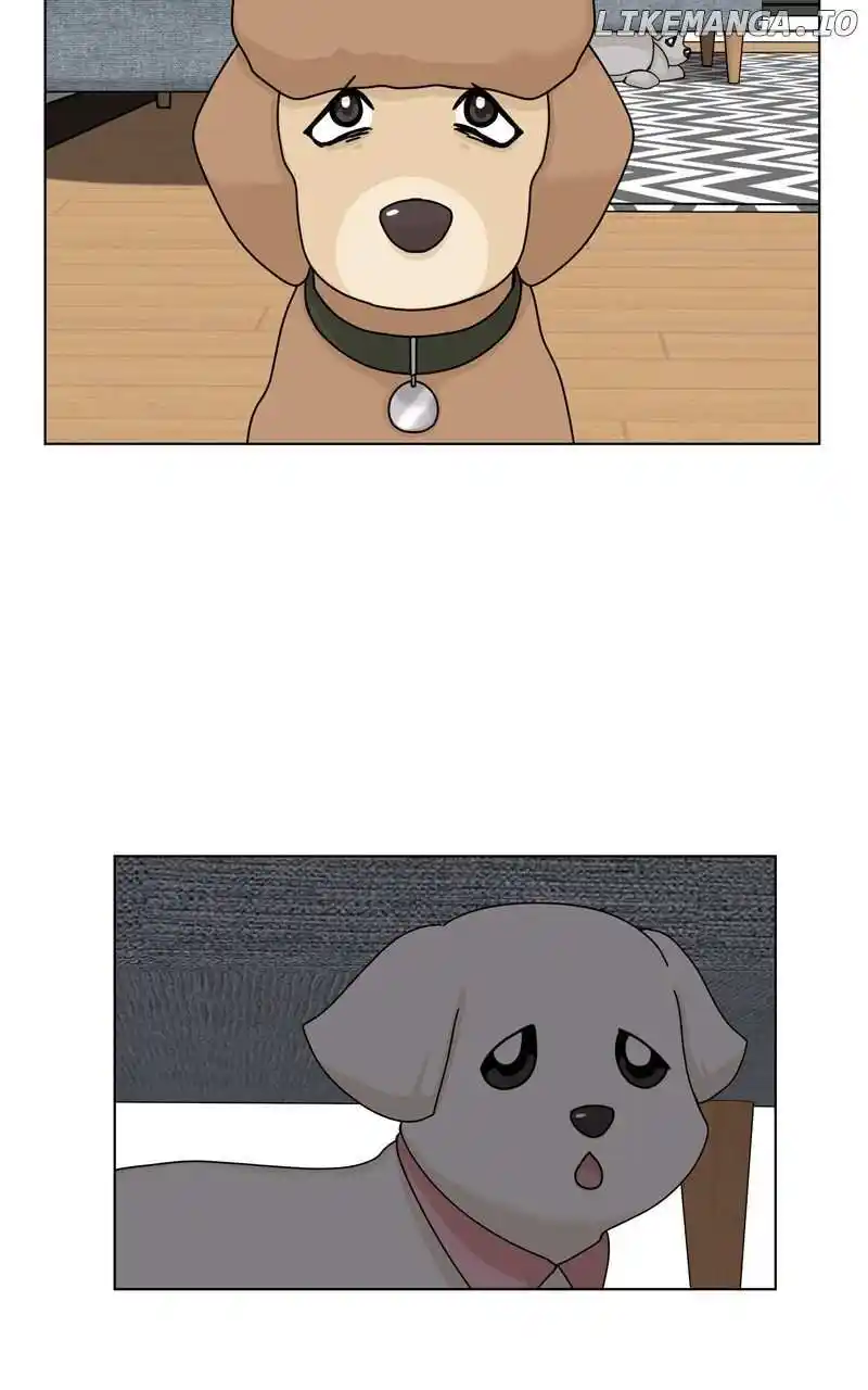 I Gave Birth to a Dog Chapter 158