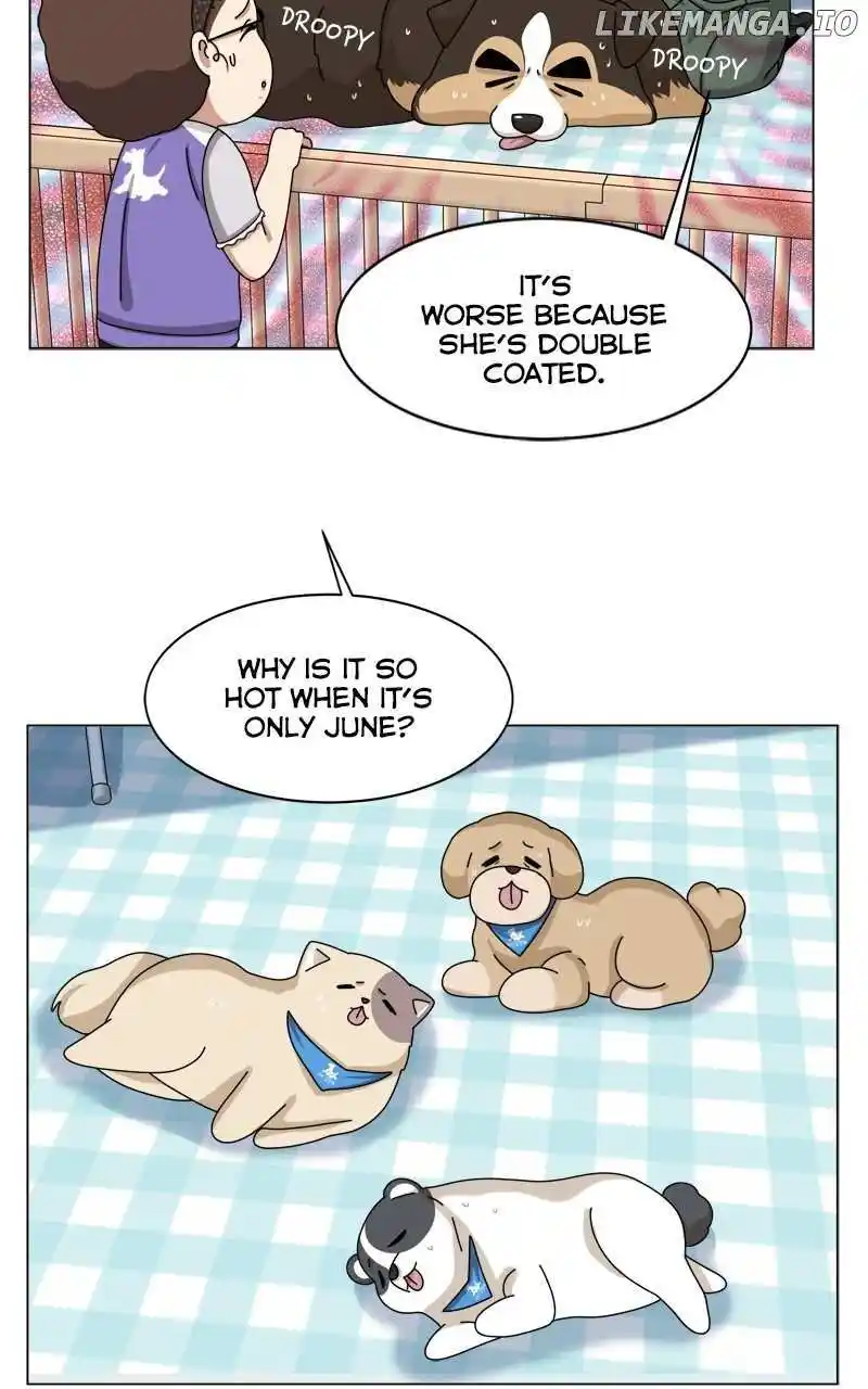 I Gave Birth to a Dog Chapter 162