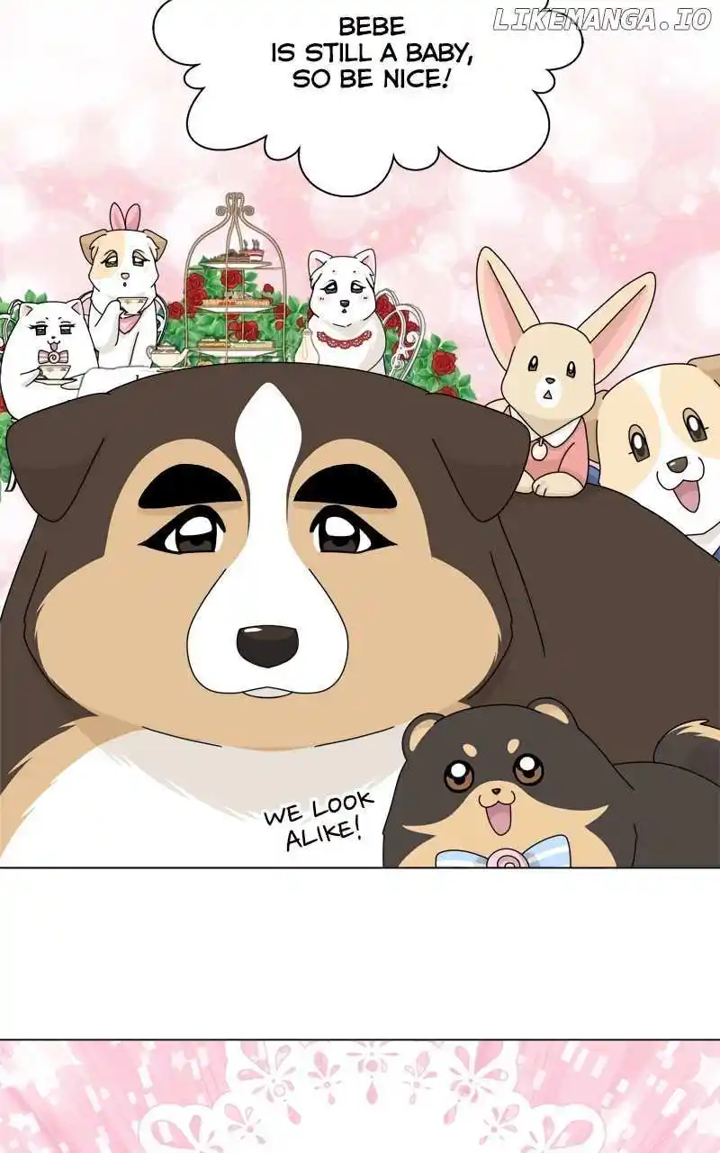 I Gave Birth to a Dog Chapter 162