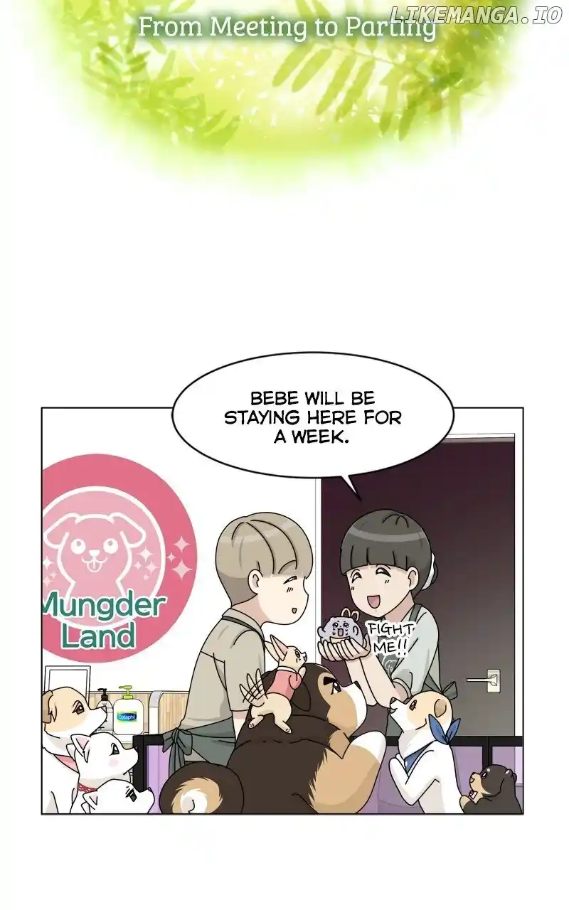 I Gave Birth to a Dog Chapter 163