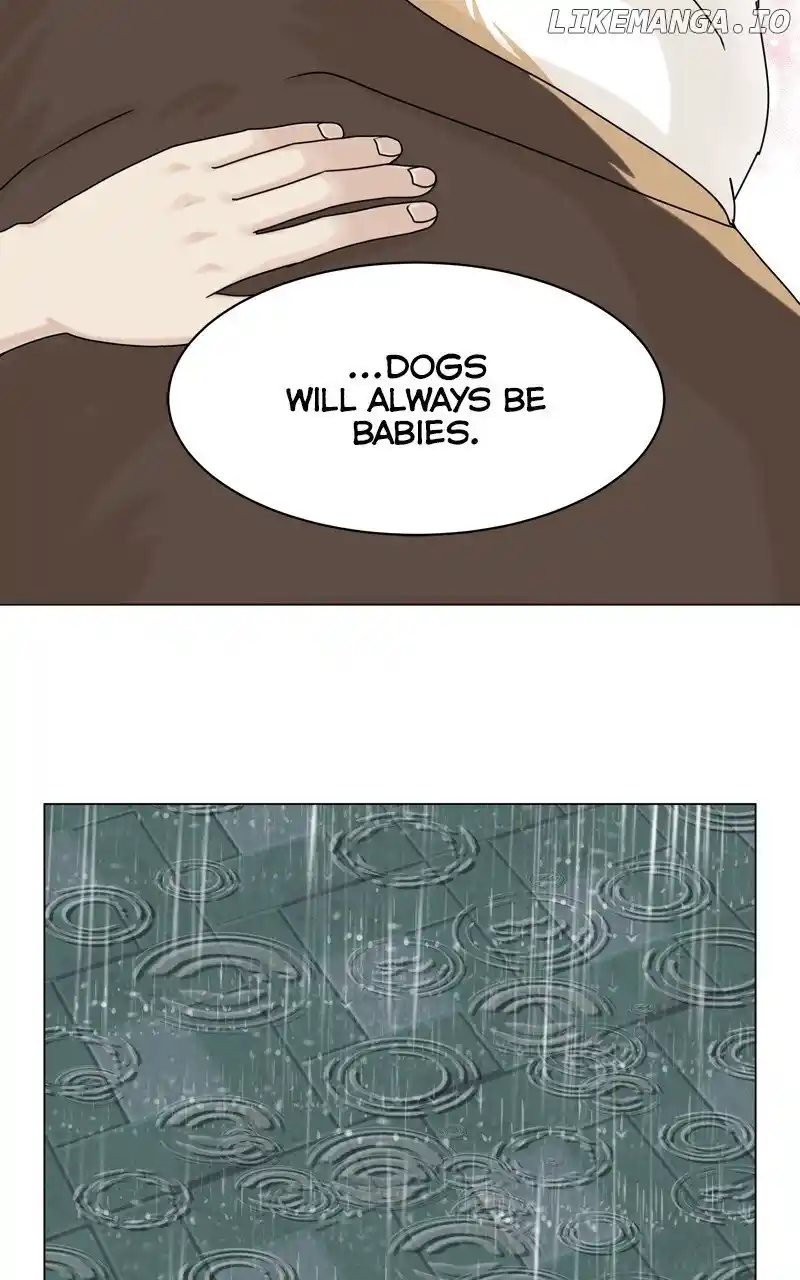 I Gave Birth to a Dog Chapter 163