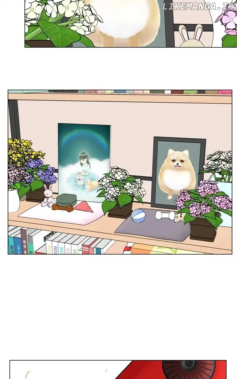 I Gave Birth to a Dog Chapter 163