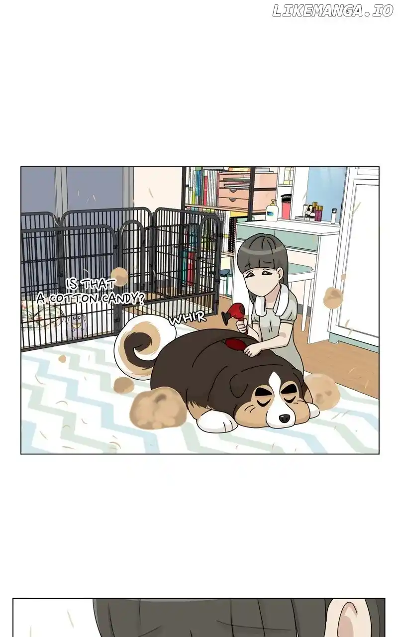 I Gave Birth to a Dog Chapter 163