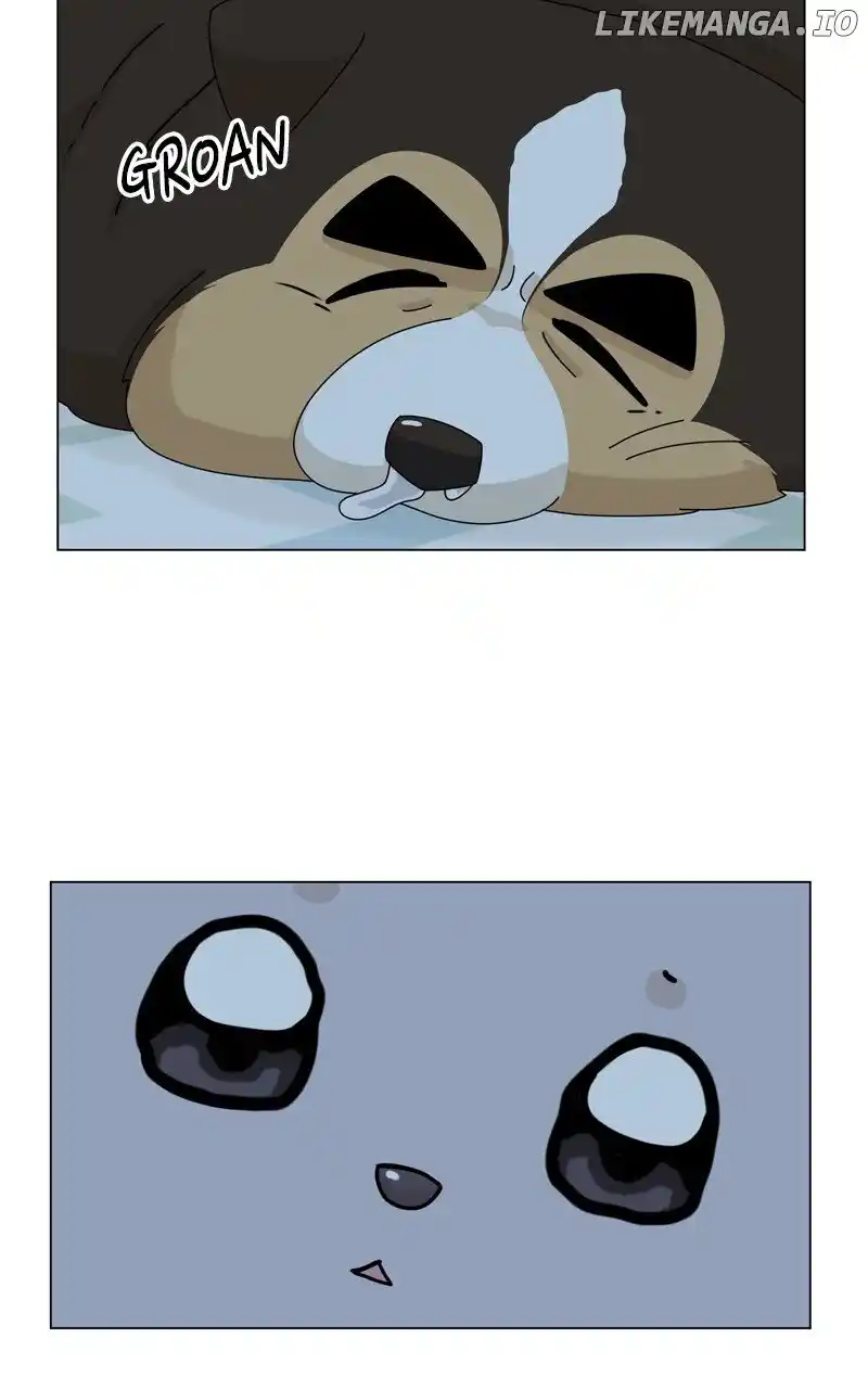 I Gave Birth to a Dog Chapter 164