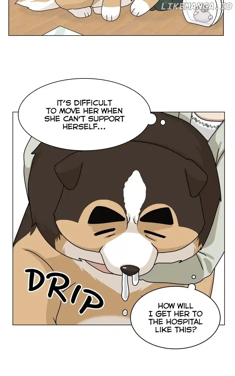 I Gave Birth to a Dog Chapter 164