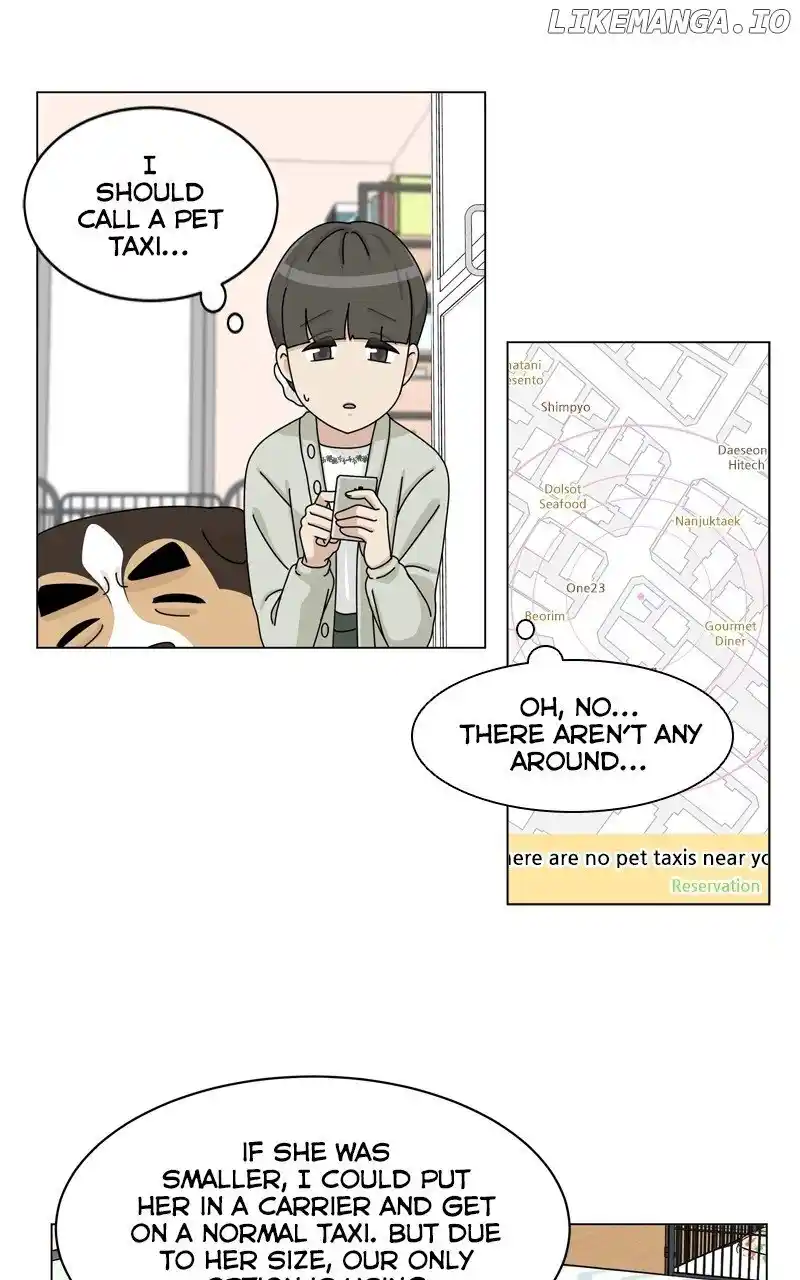 I Gave Birth to a Dog Chapter 164