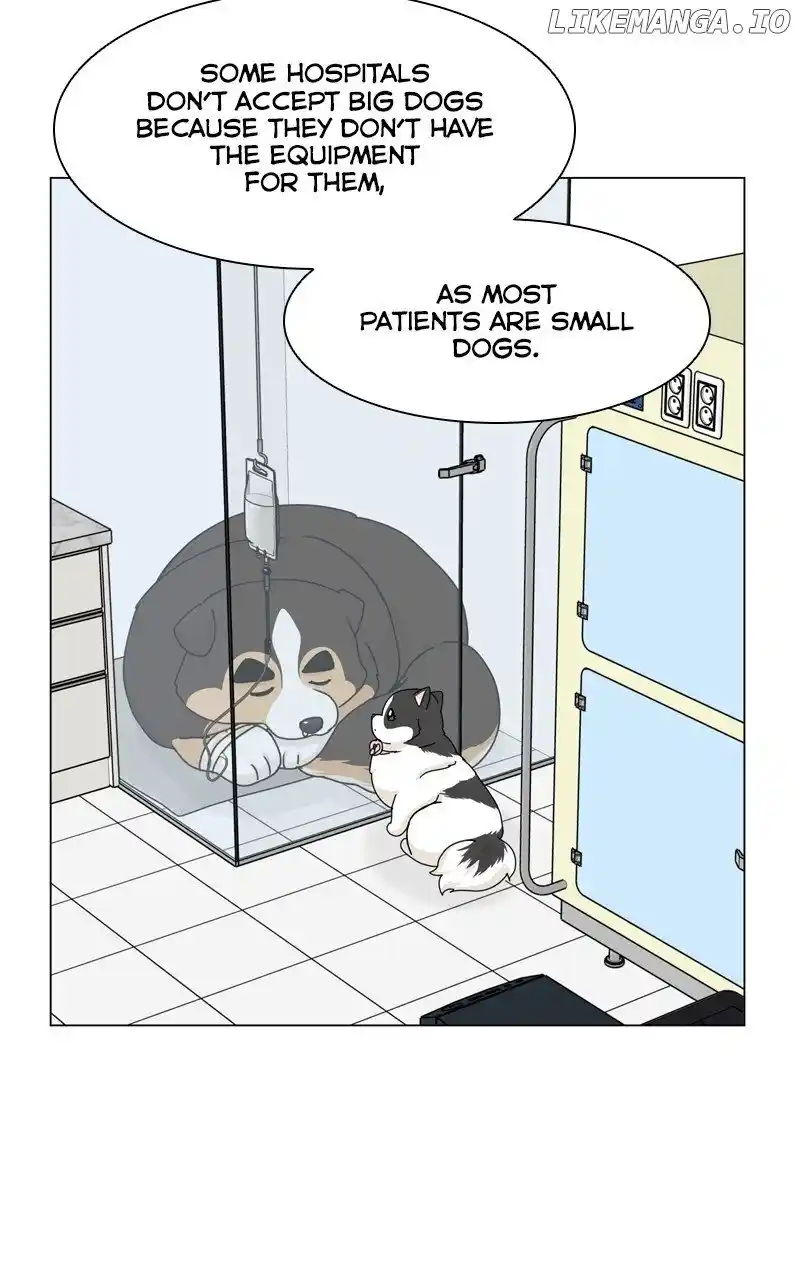I Gave Birth to a Dog Chapter 164