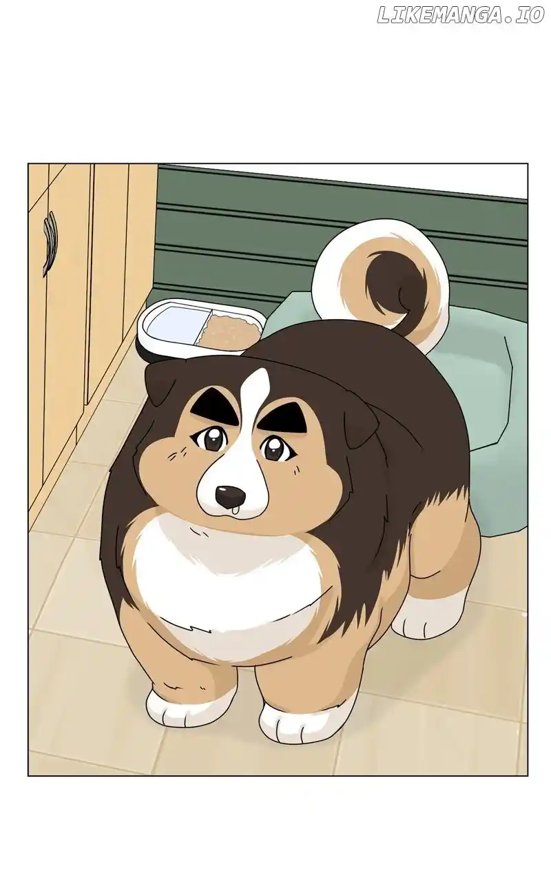 I Gave Birth to a Dog Chapter 164