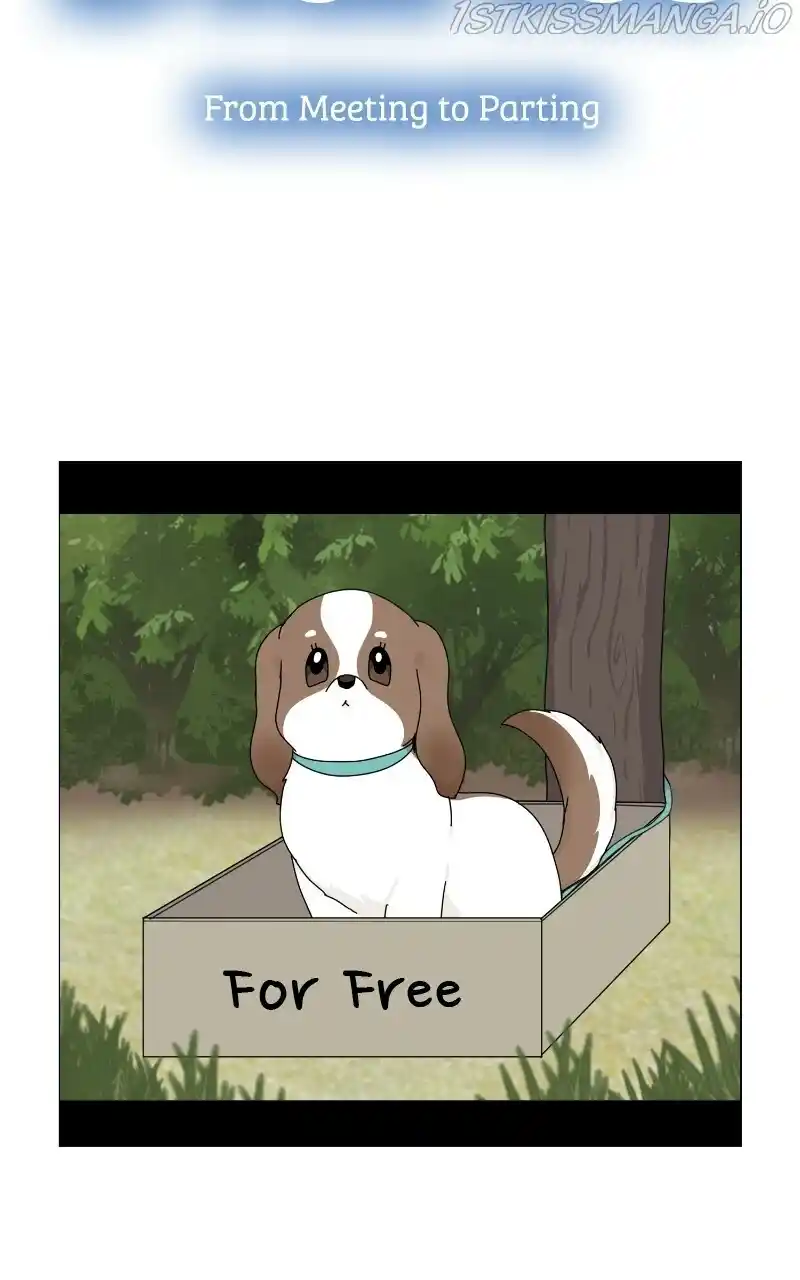 I Gave Birth to a Dog Chapter 66