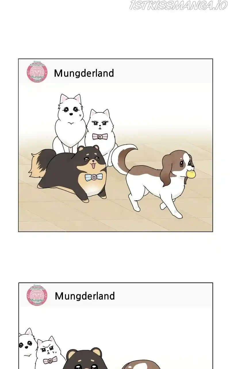 I Gave Birth to a Dog Chapter 66