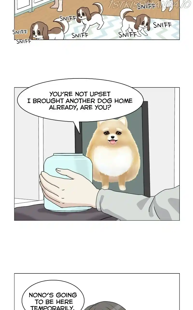 I Gave Birth to a Dog Chapter 66