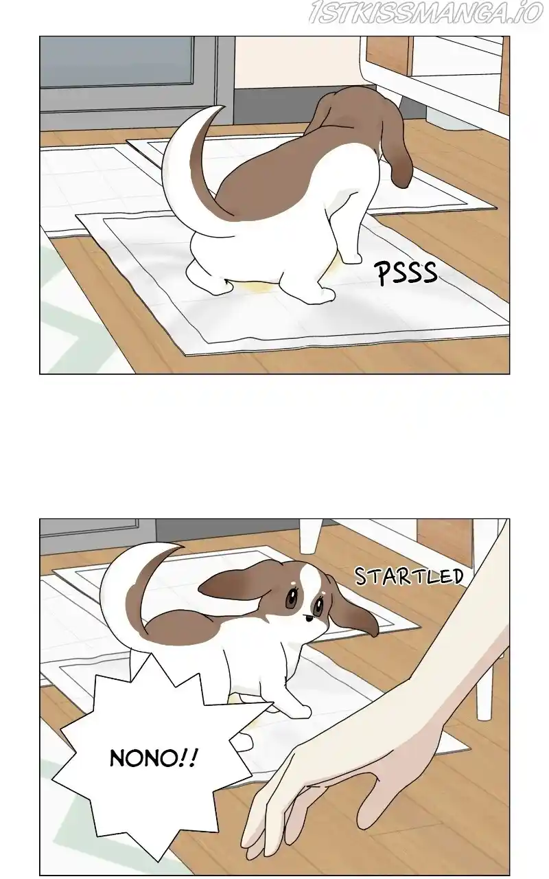 I Gave Birth to a Dog Chapter 66