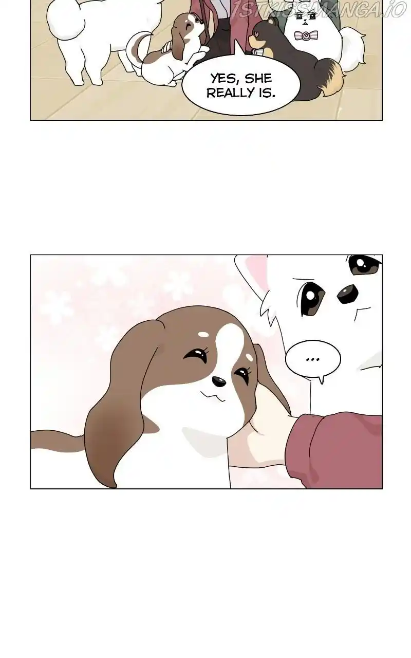 I Gave Birth to a Dog Chapter 67