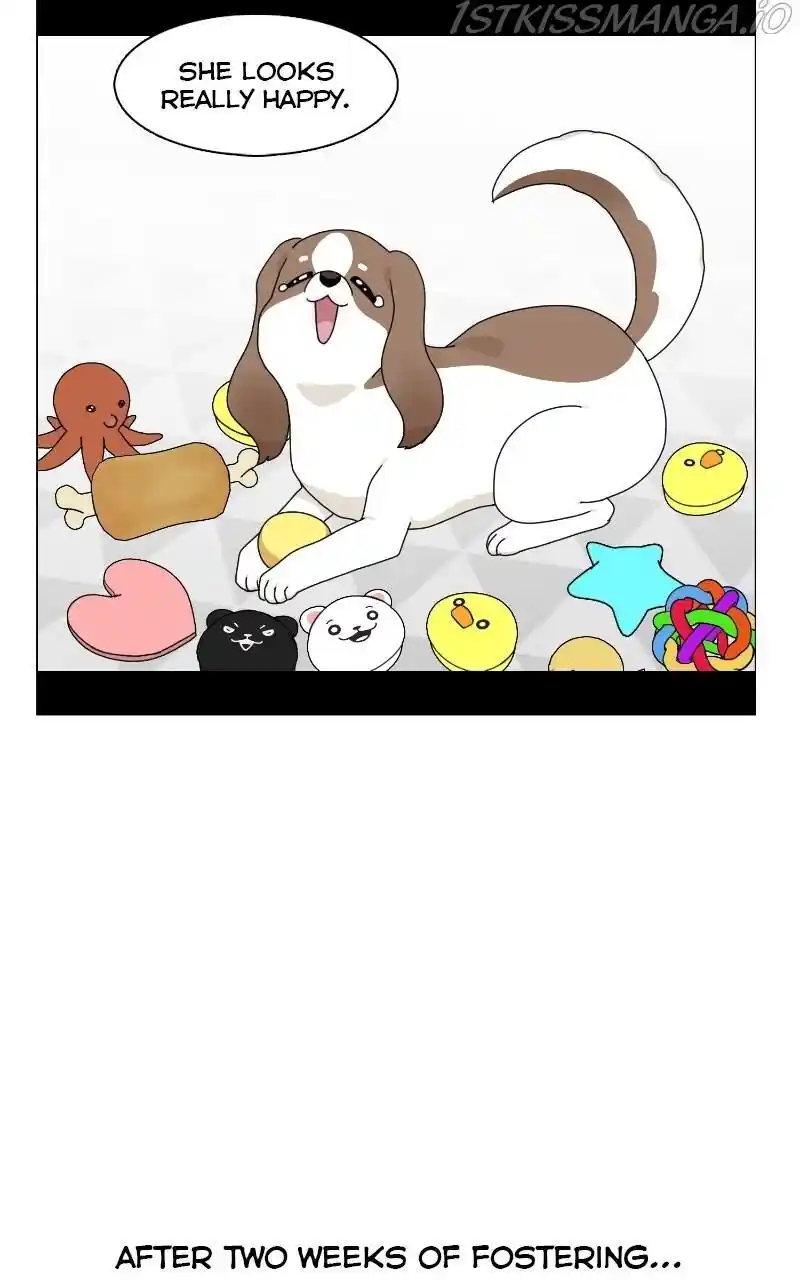 I Gave Birth to a Dog Chapter 67