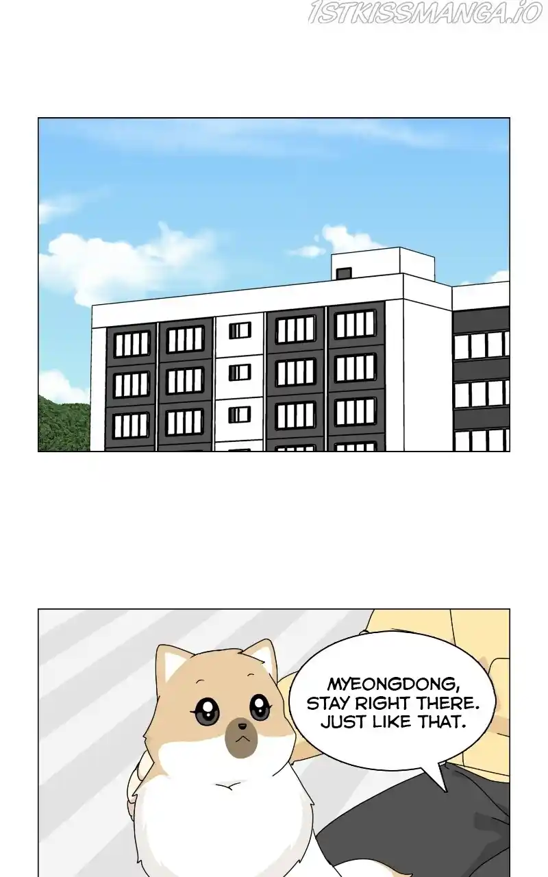 I Gave Birth to a Dog Chapter 68