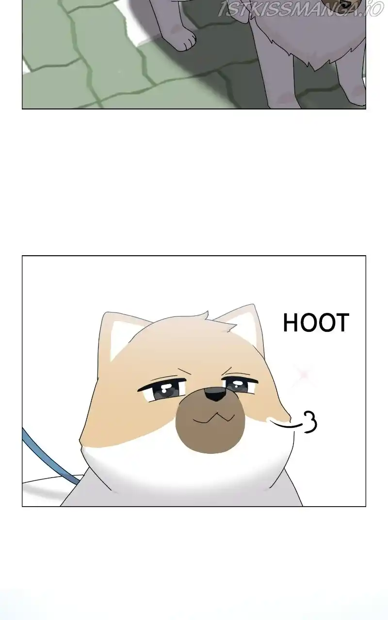 I Gave Birth to a Dog Chapter 68