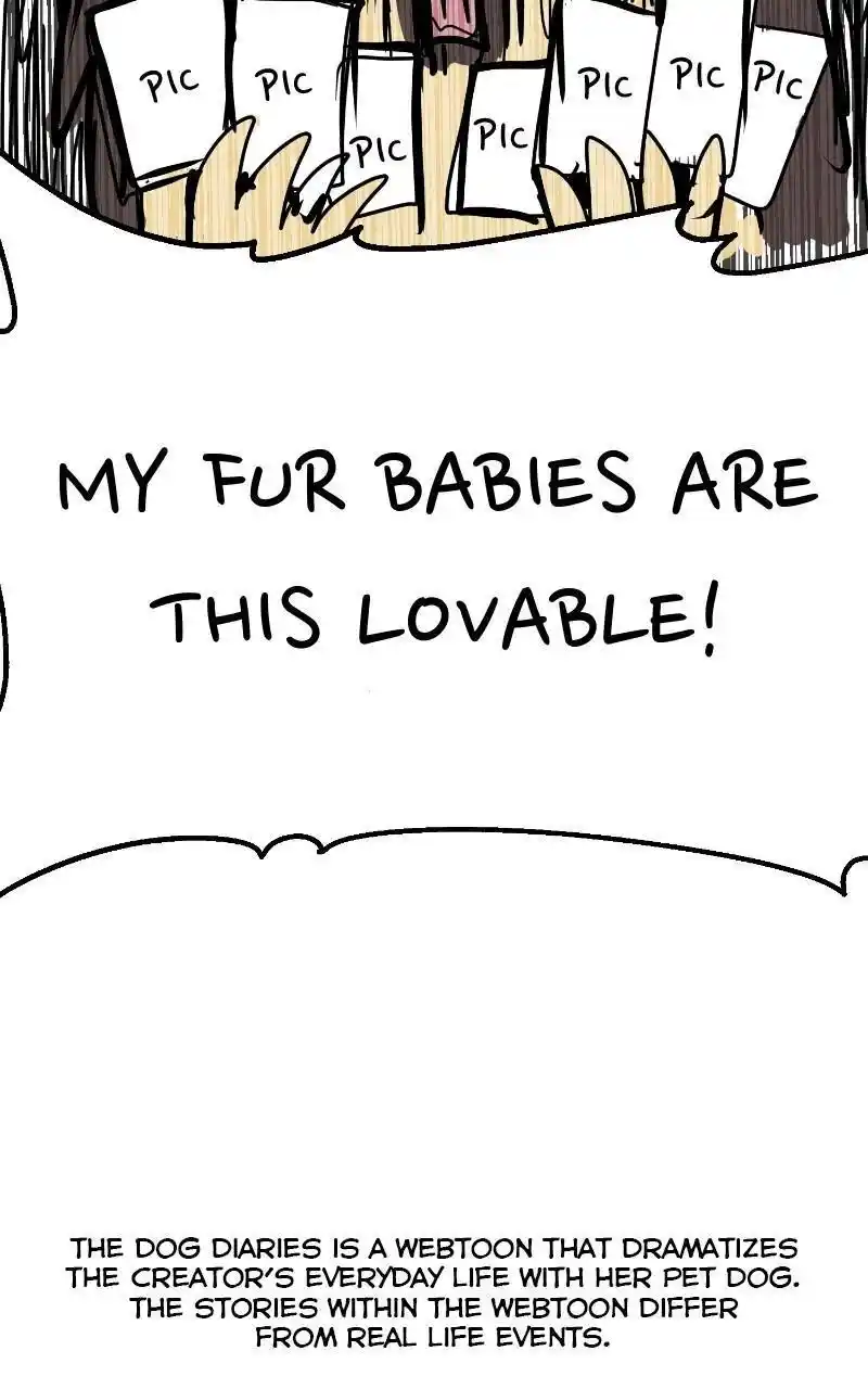 I Gave Birth to a Dog Chapter 68.5