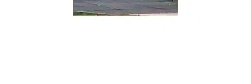 I Gave Birth to a Dog Chapter 68.5