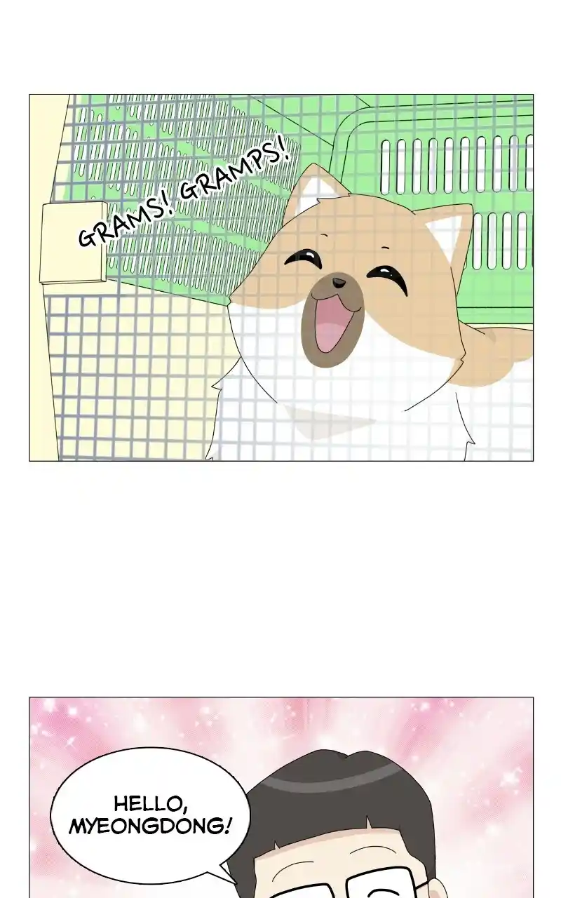 I Gave Birth to a Dog Chapter 69