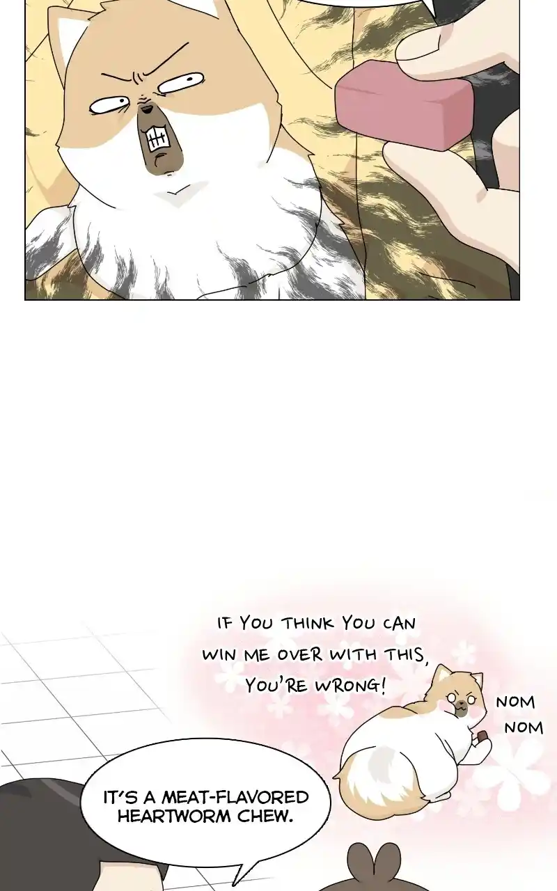 I Gave Birth to a Dog Chapter 69