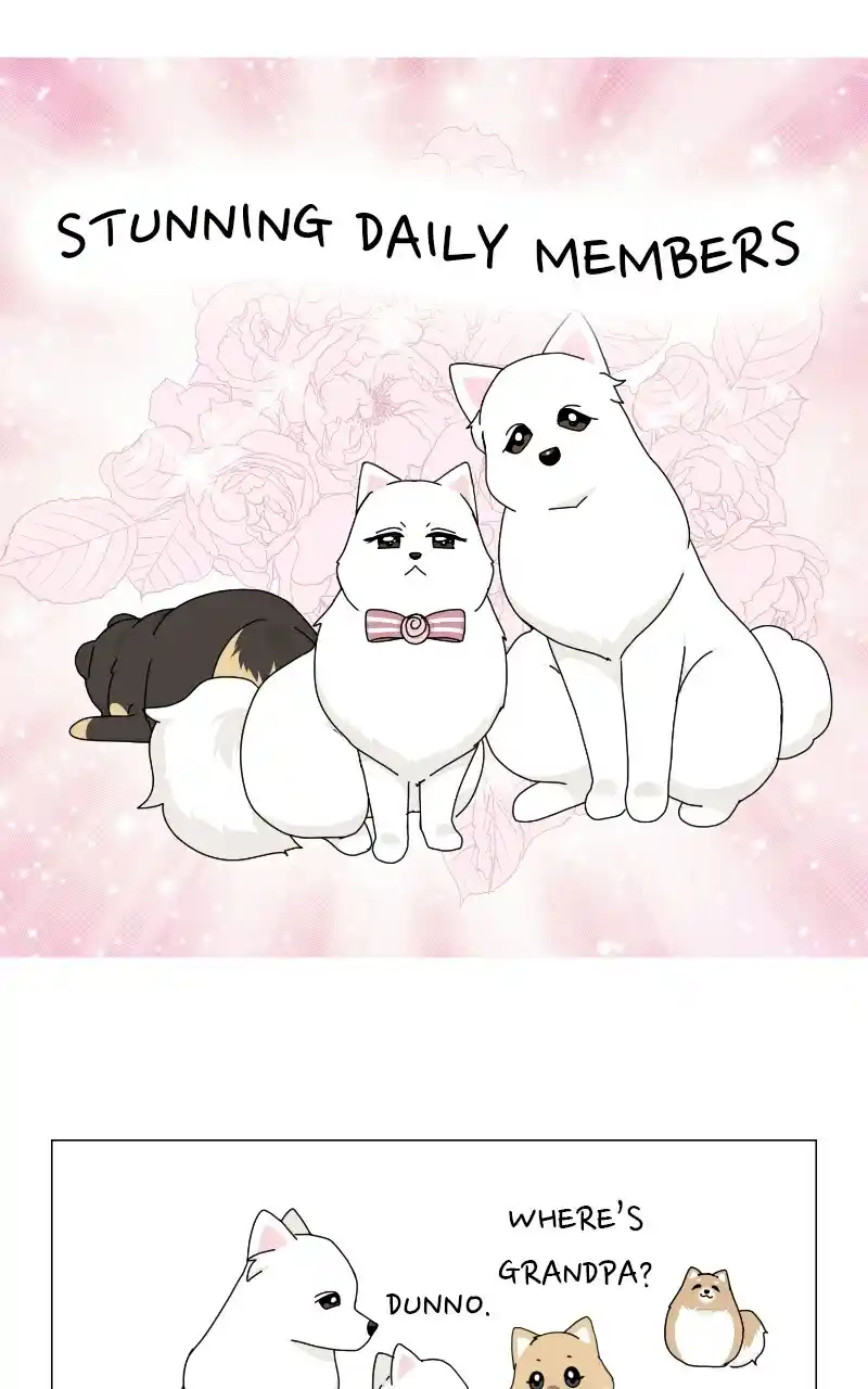 I Gave Birth to a Dog Chapter 69