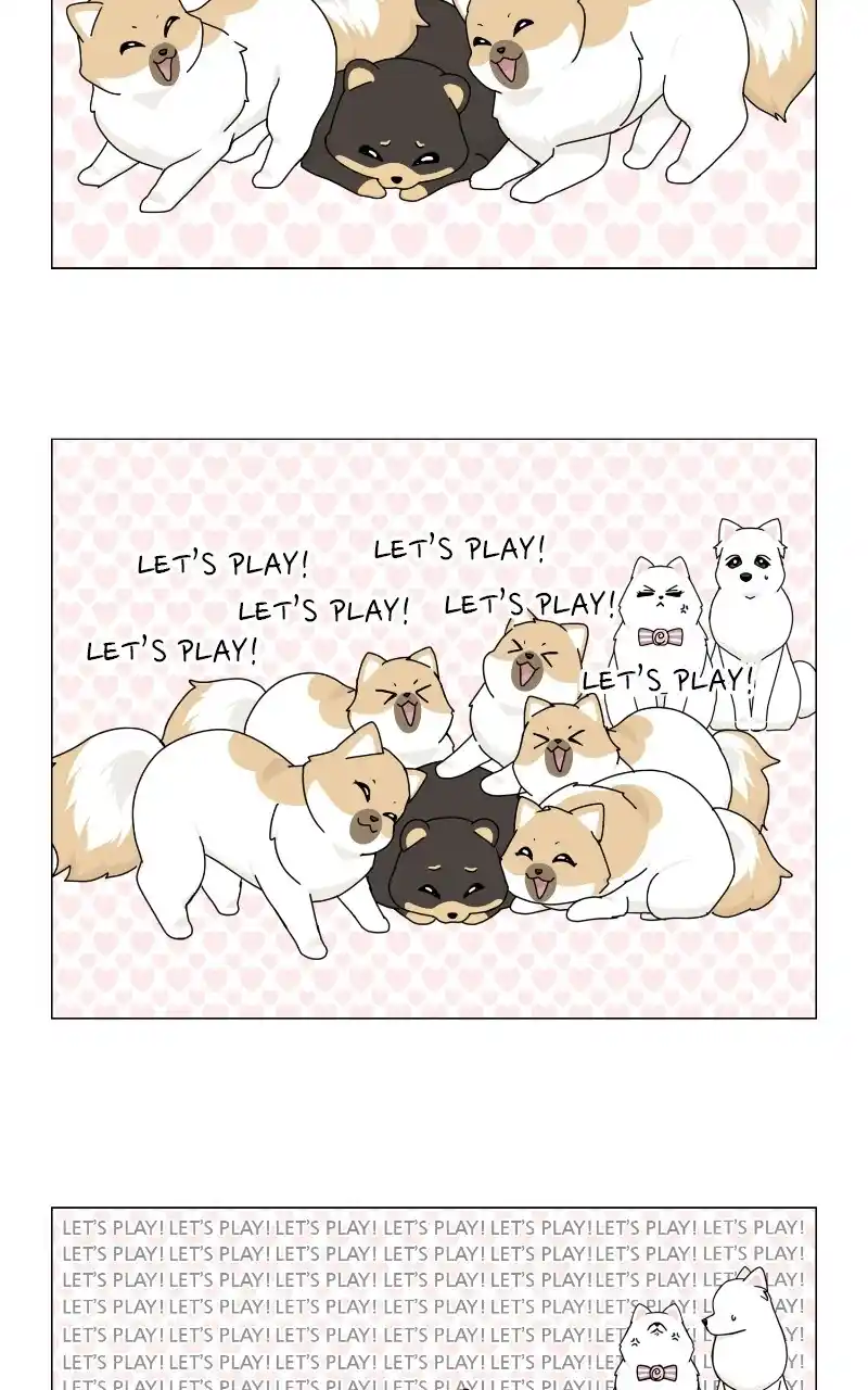 I Gave Birth to a Dog Chapter 69