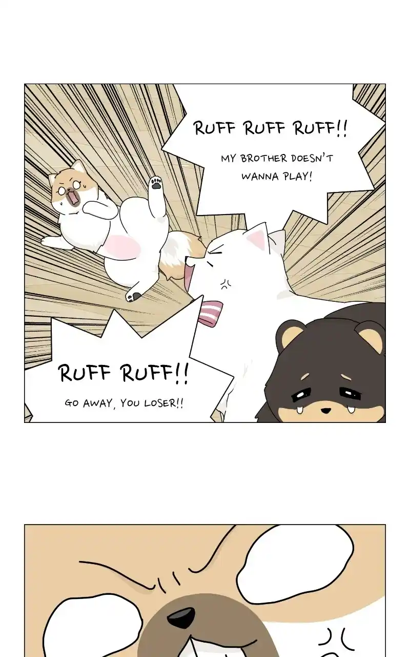 I Gave Birth to a Dog Chapter 69