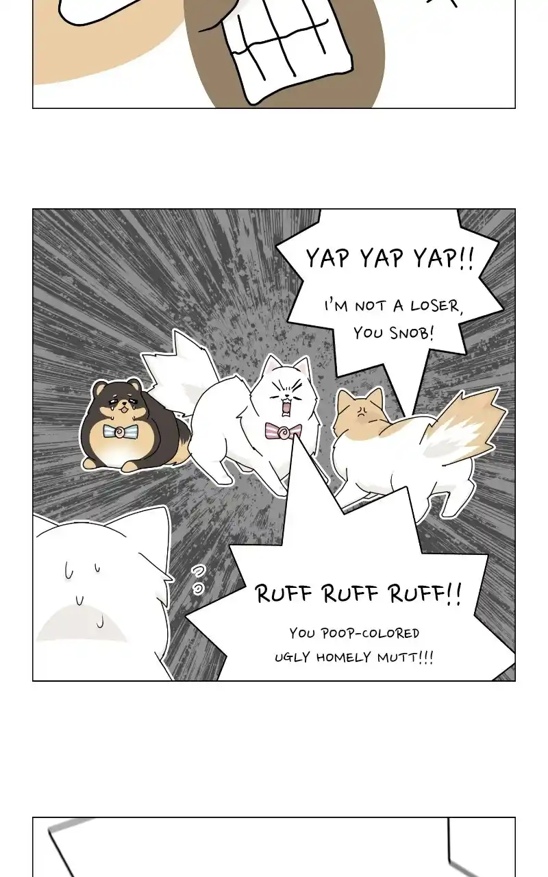 I Gave Birth to a Dog Chapter 69