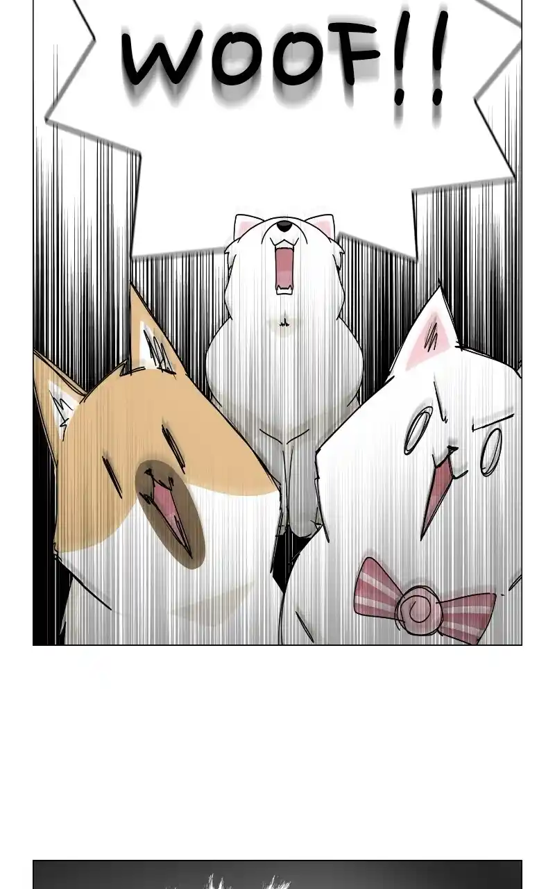 I Gave Birth to a Dog Chapter 69
