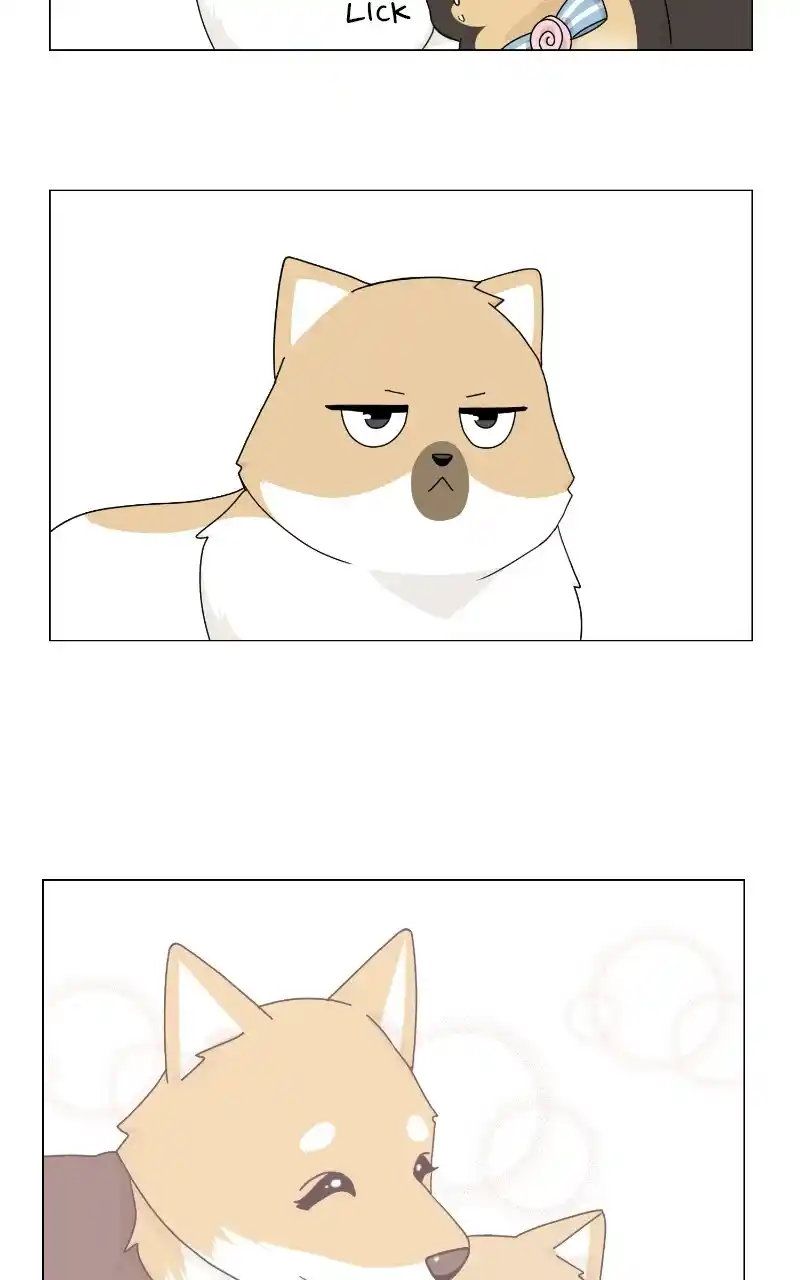 I Gave Birth to a Dog Chapter 69