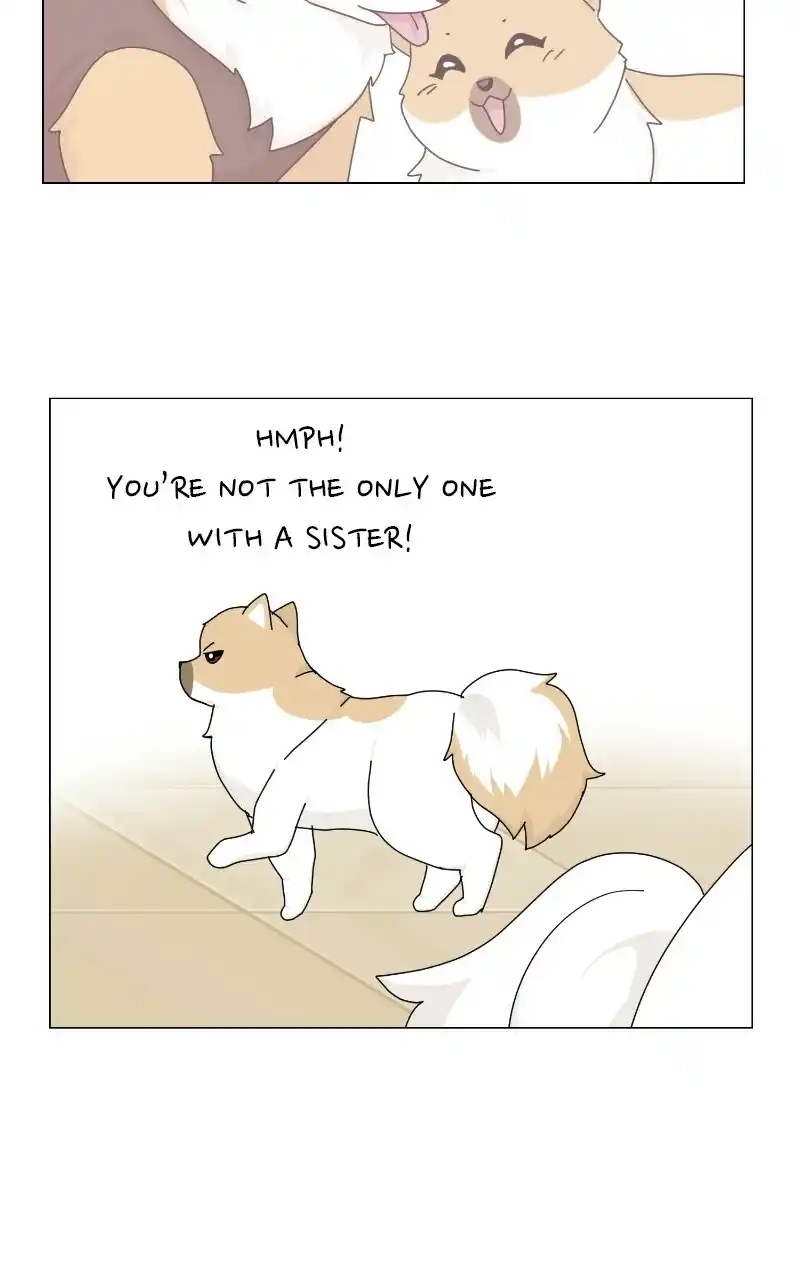 I Gave Birth to a Dog Chapter 69