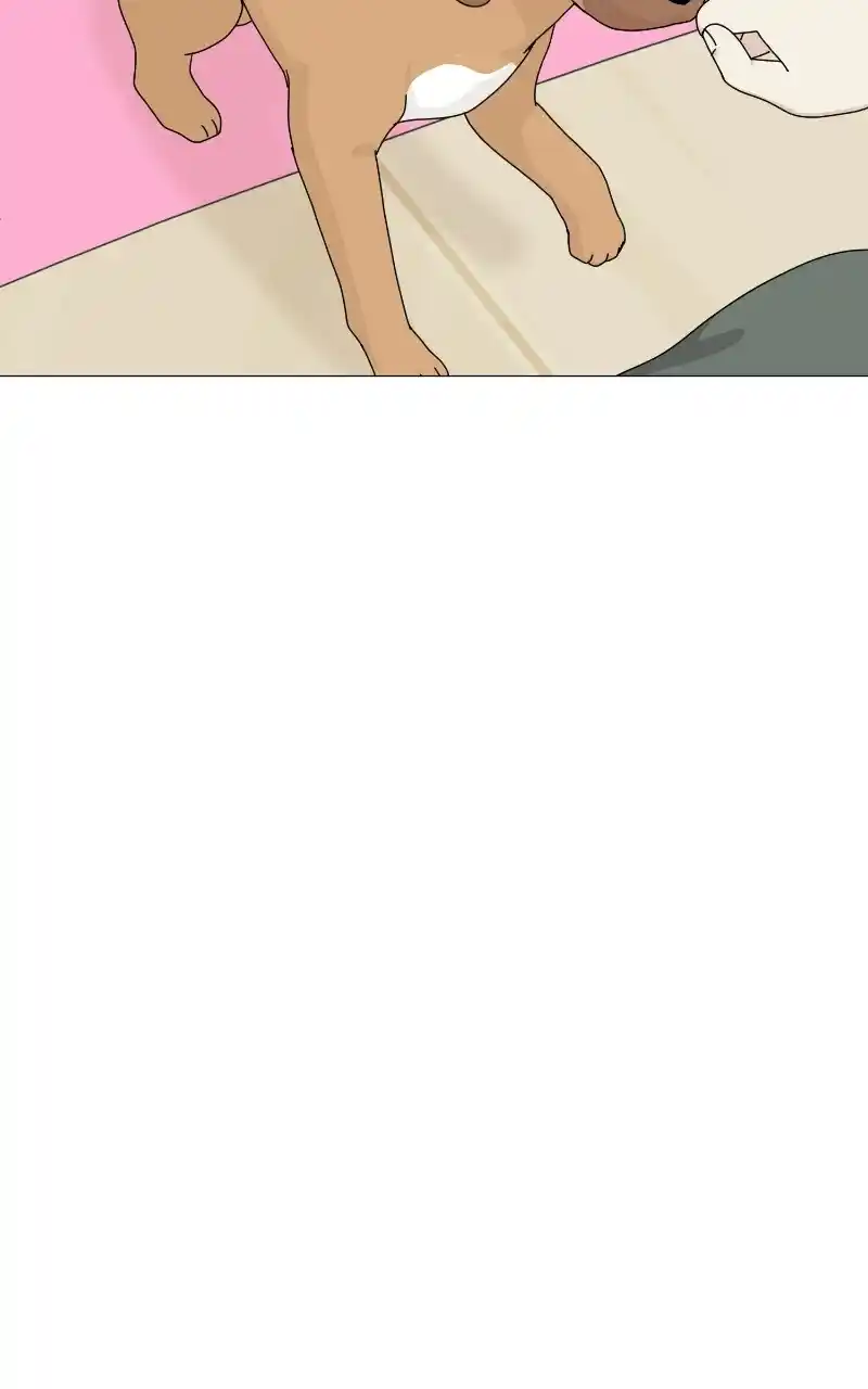 I Gave Birth to a Dog Chapter 69