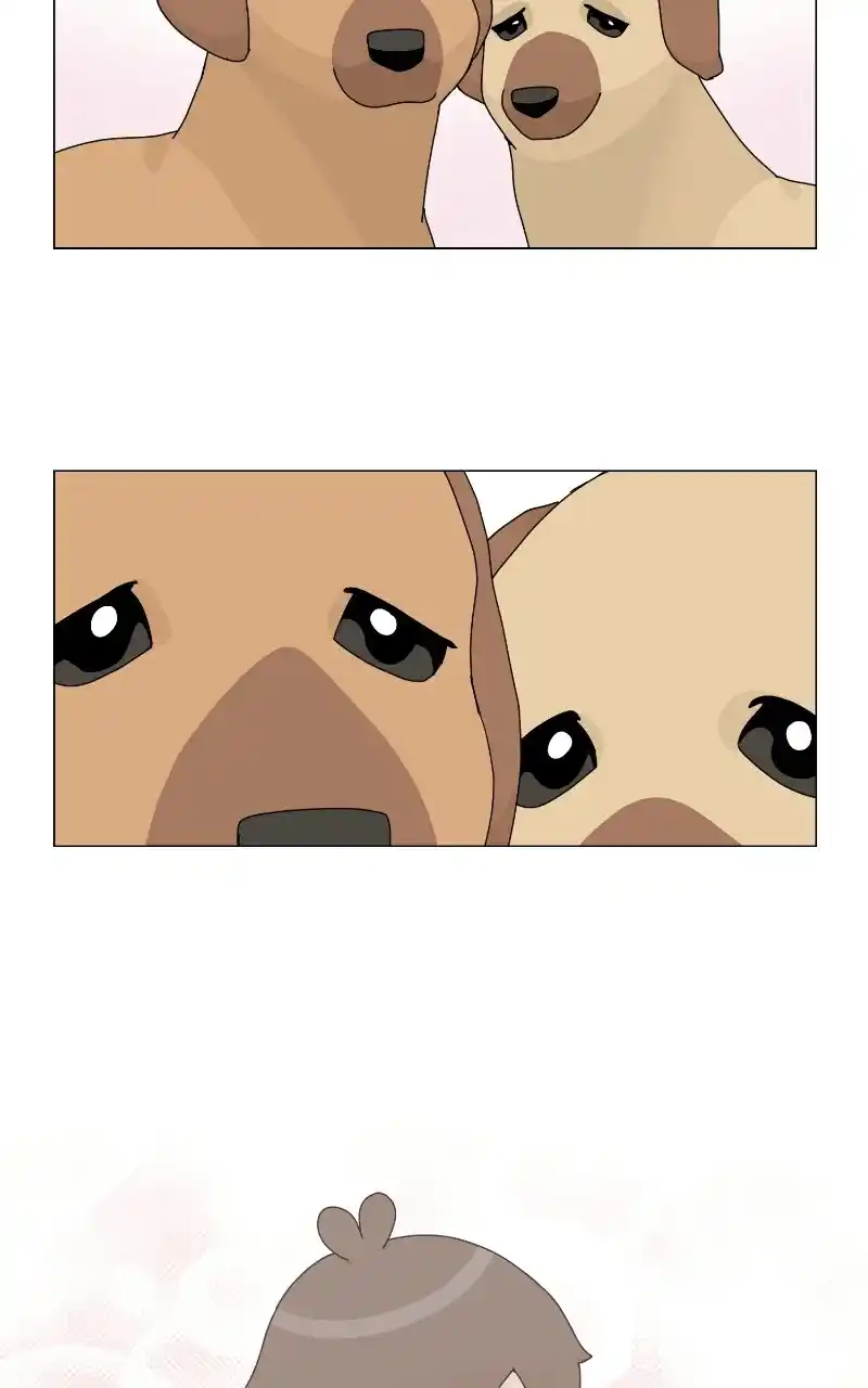 I Gave Birth to a Dog Chapter 69