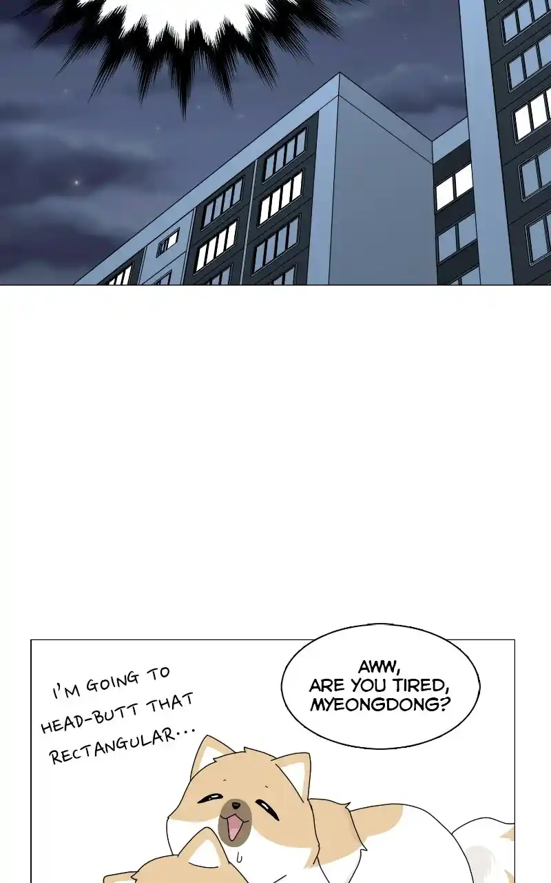 I Gave Birth to a Dog Chapter 69