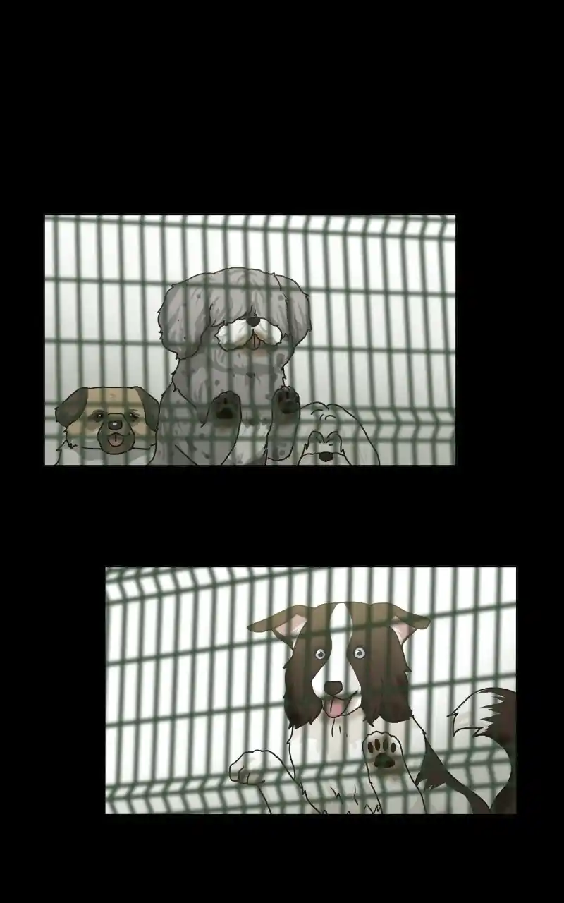 I Gave Birth to a Dog Chapter 71