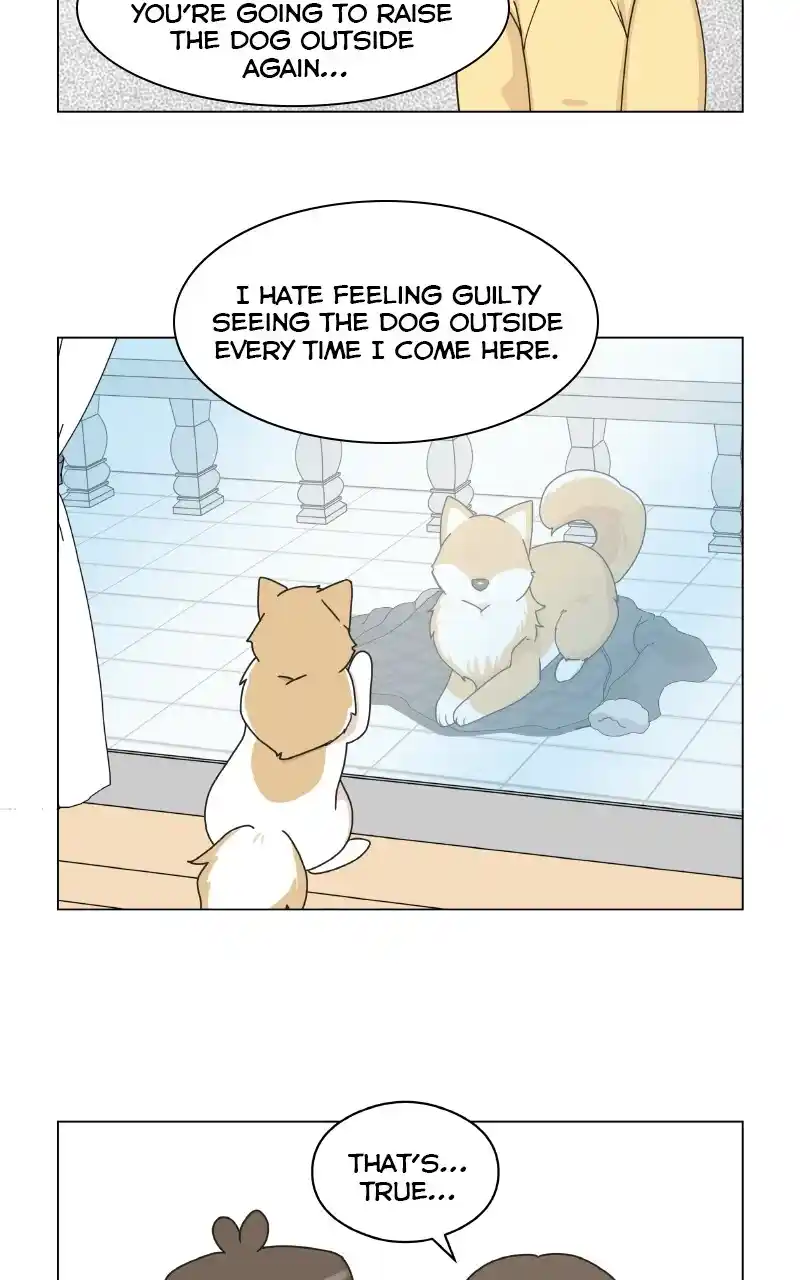 I Gave Birth to a Dog Chapter 72