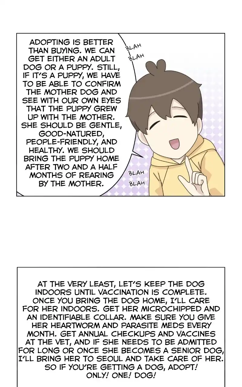 I Gave Birth to a Dog Chapter 72